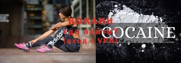 индика Ростов