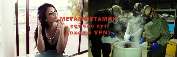 молекула духа Богданович