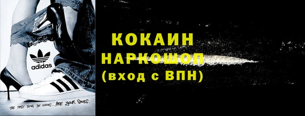 молекула духа Богданович