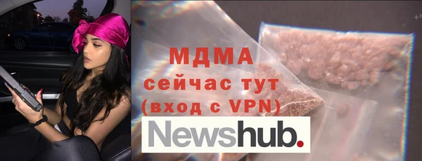 молекула духа Богданович