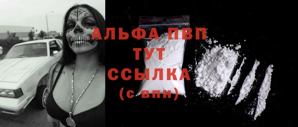 молекула духа Богданович