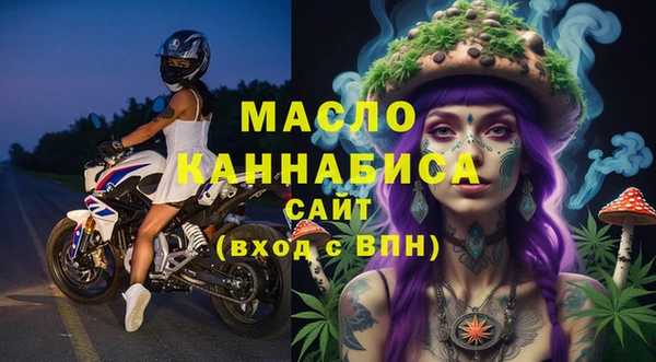 индика Ростов