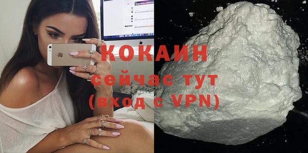 молекула духа Богданович