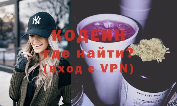 молекула духа Богданович