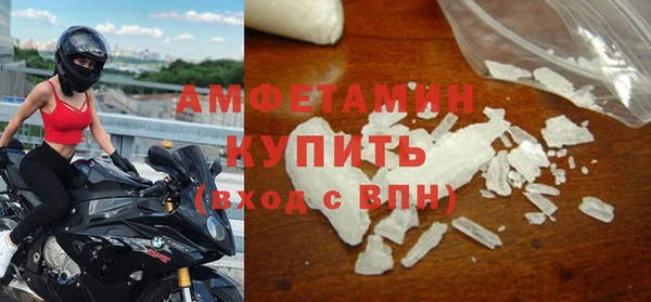 молекула духа Богданович