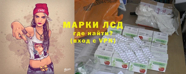 молекула духа Богданович
