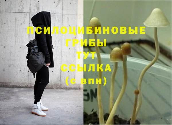 не бодяженный Богородицк