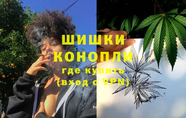 молекула духа Богданович