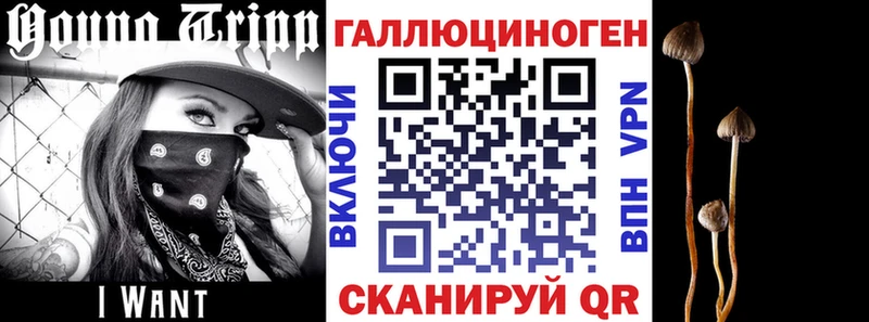 Псилоцибиновые грибы ЛСД  наркота  Мосальск 